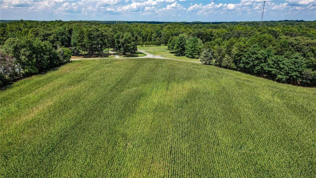 6300 Lineberry Road Liberty, NC 27298 - Photo 12 of 13 Gallery Image 12