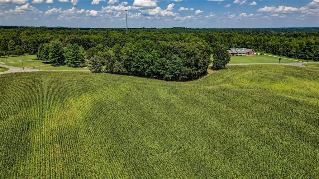 6300 Lineberry Road Liberty, NC 27298 - Photo 13 of 13 Gallery Image 13