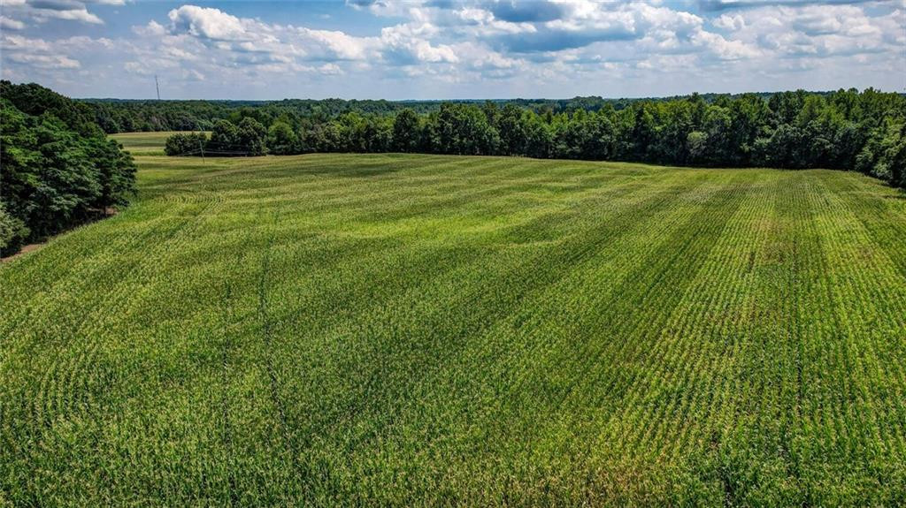 6300 Lineberry Road Liberty, NC 27298 - Photo 2 of 13 Gallery Image 2