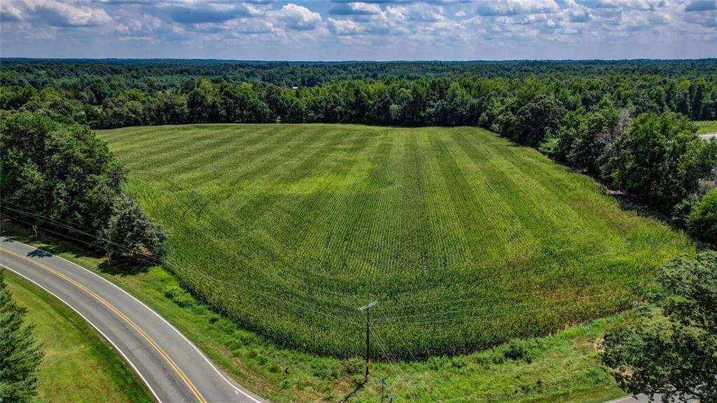 6300 Lineberry Road Liberty, NC 27298 - Photo 3 of 13 Gallery Image 3