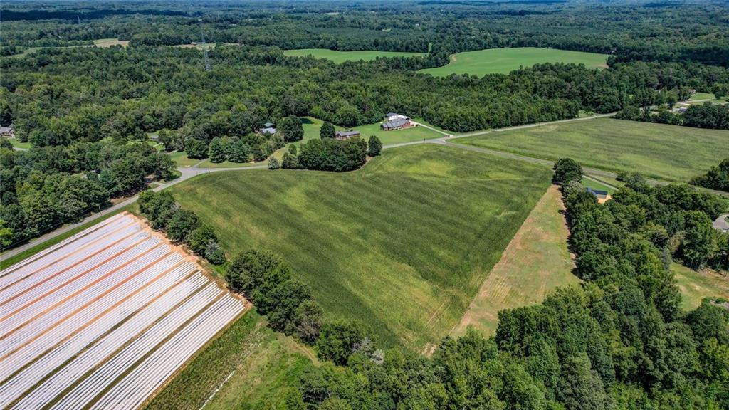 6300 Lineberry Road Liberty, NC 27298 - Photo 7 of 13 Gallery Image 7