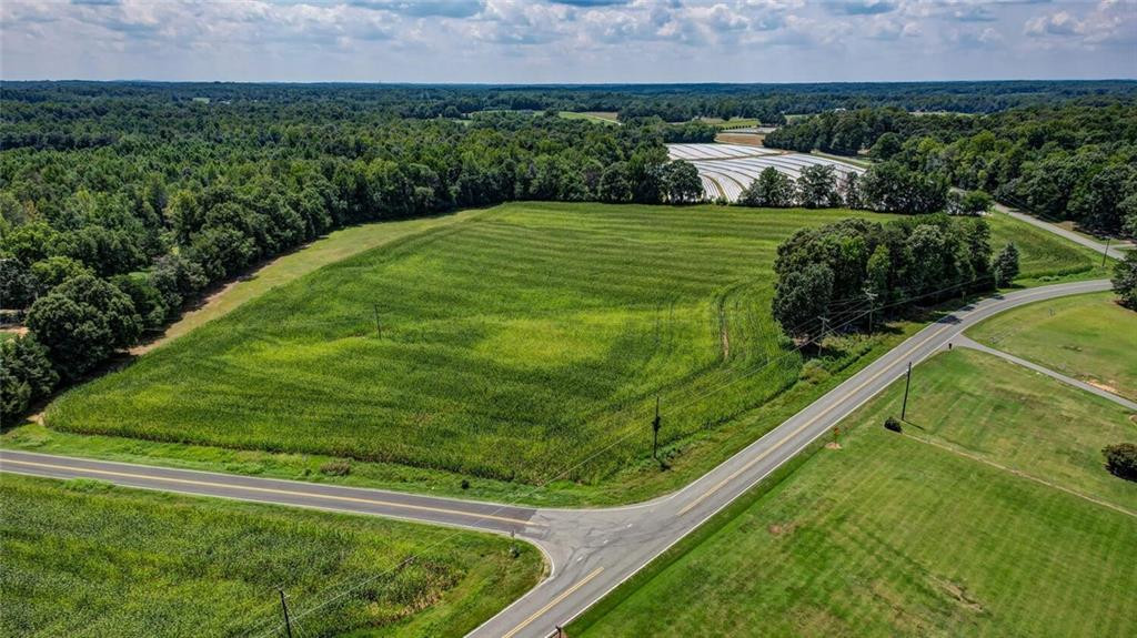 6300 Lineberry Road Liberty, NC 27298 - Photo 10 of 13 Gallery Image 10