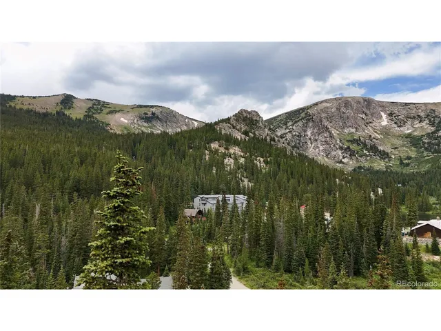 a black and white photo of a green field