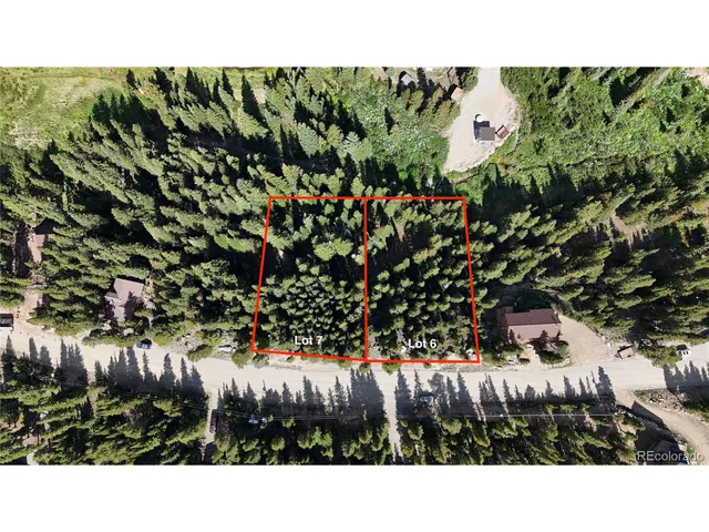 a open area with lots of trees