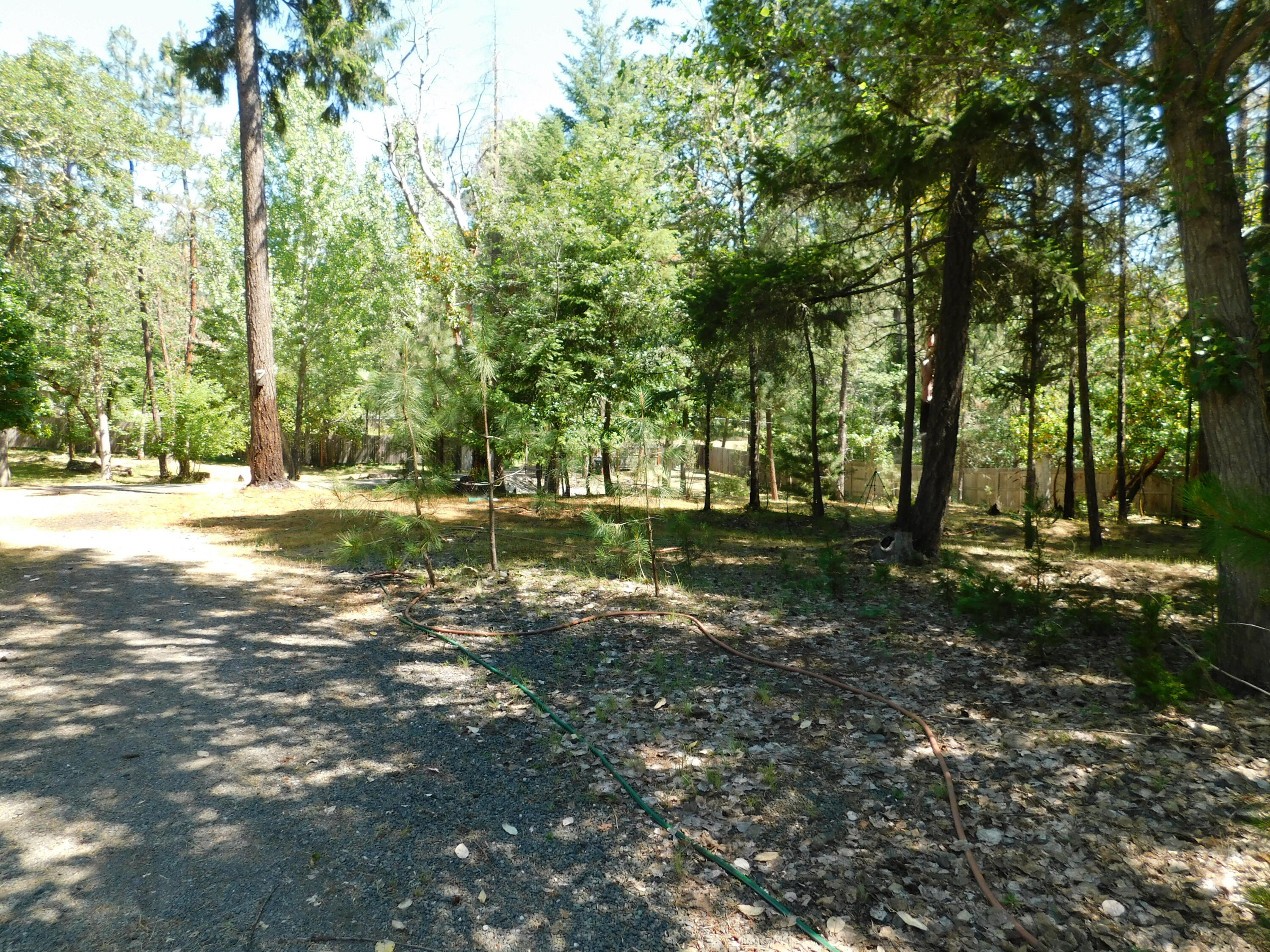 661 Kincaid Road Williams, OR 97544 - Photo 15 of 16 DSCN0227