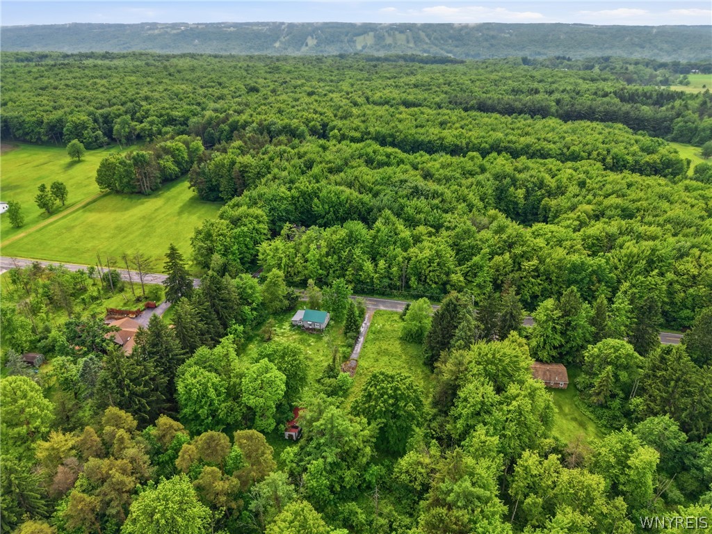 7499 Irish Road Colden, NY 14170 - Photo 9 of 10