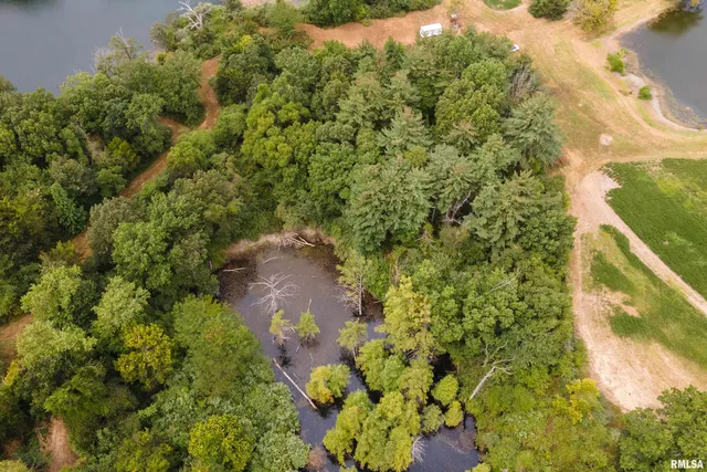 $568,800 | 17127 Highway 51, De Soto, IL 62924