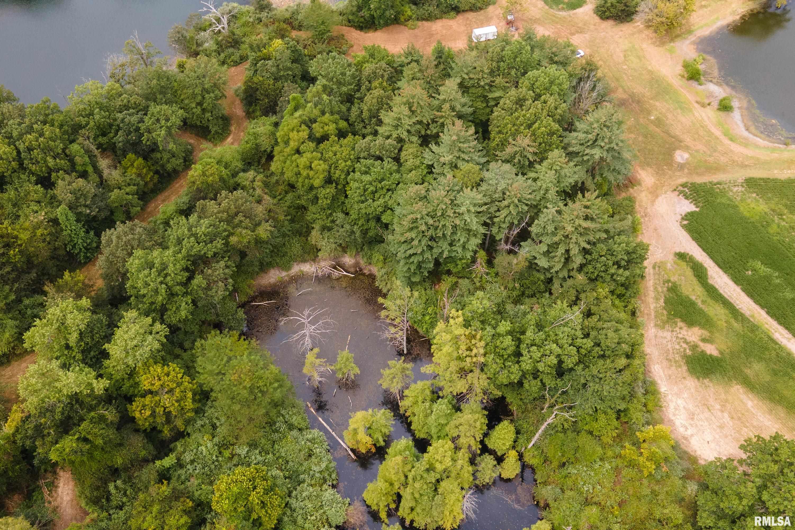 17127 Highway 51 De Soto, IL 62924 - Photo 83 of 84