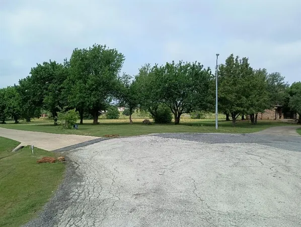 a view of a park with tree s
