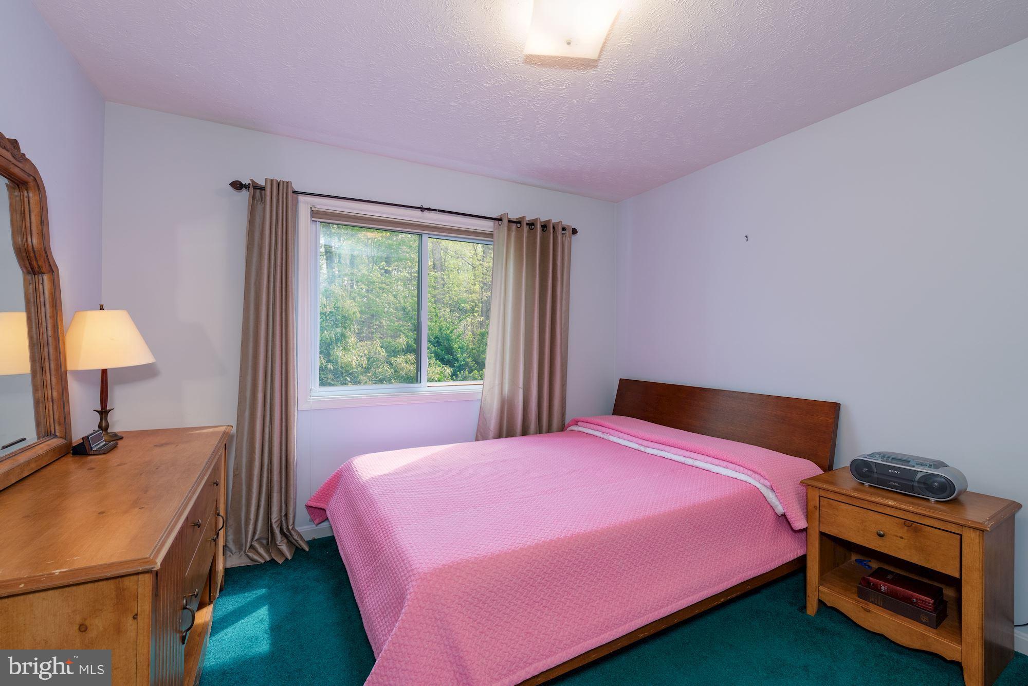 781 River Vw Road Rileyville, VA 22650 - Photo 14 of 16 a bedroom with a bed and a yard