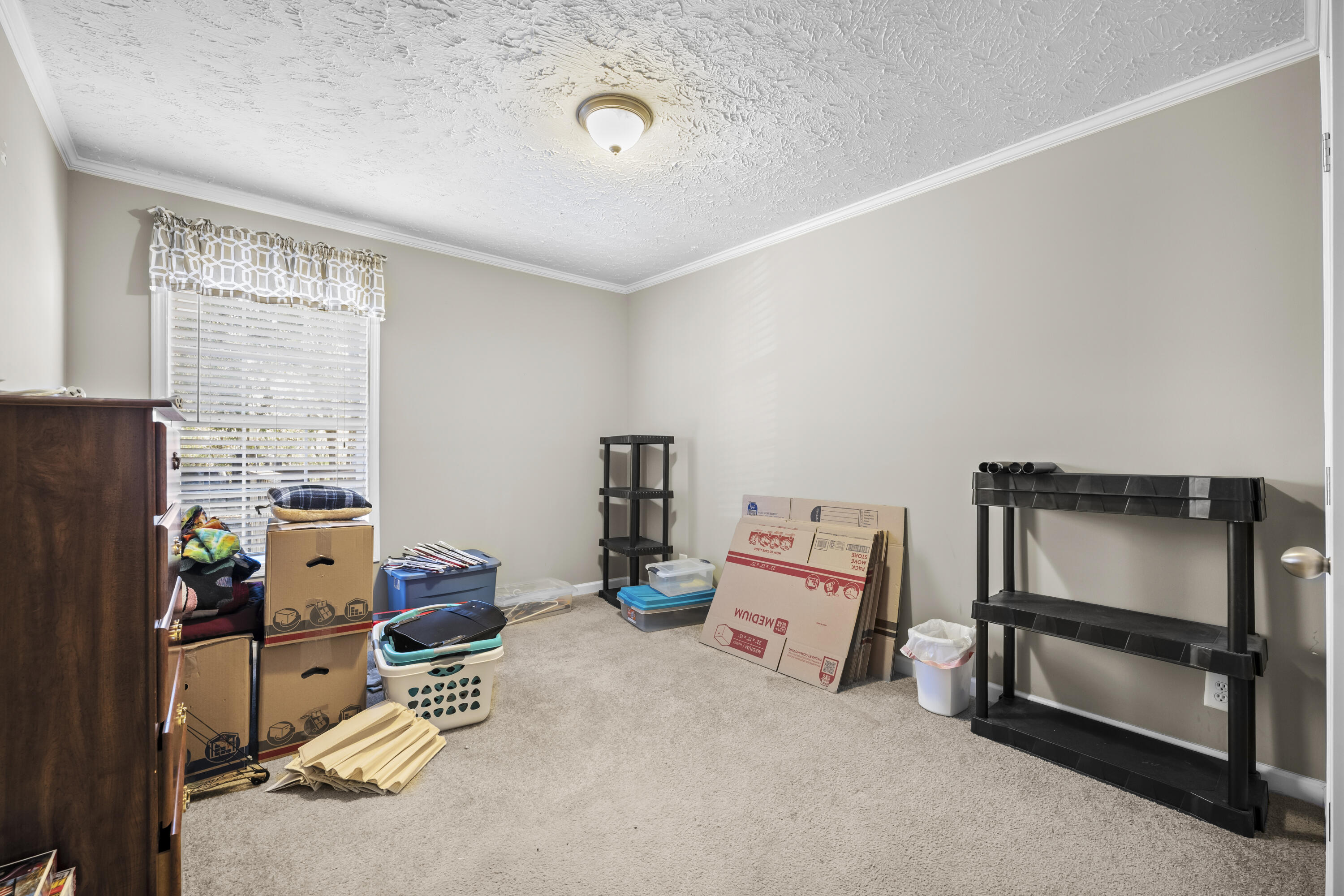 565 Tolle Farm Road Cottageville, SC 29435 - Photo 16 of 33 P1077518