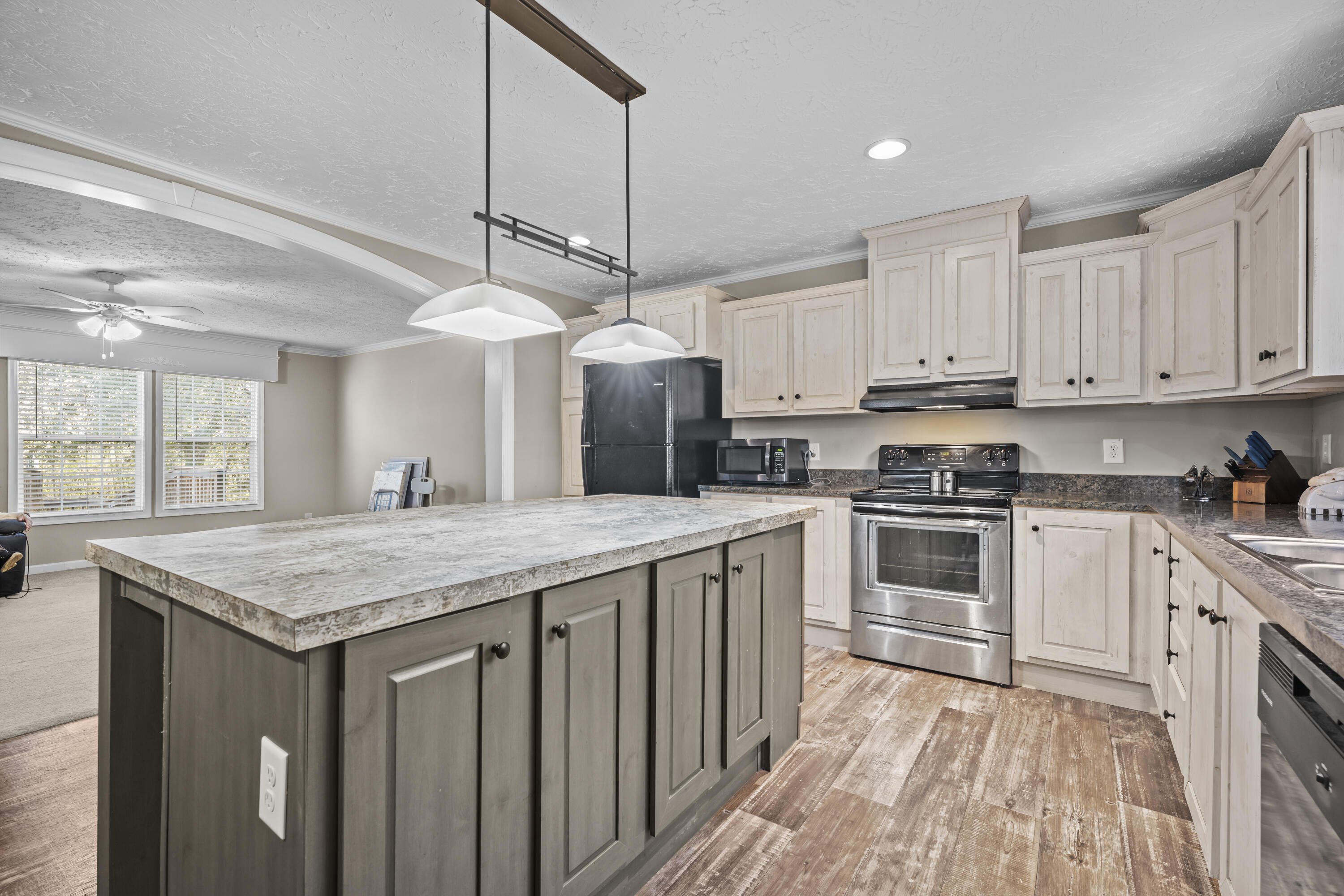 565 Tolle Farm Road Cottageville, SC 29435 - Photo 2 of 33 P1077478