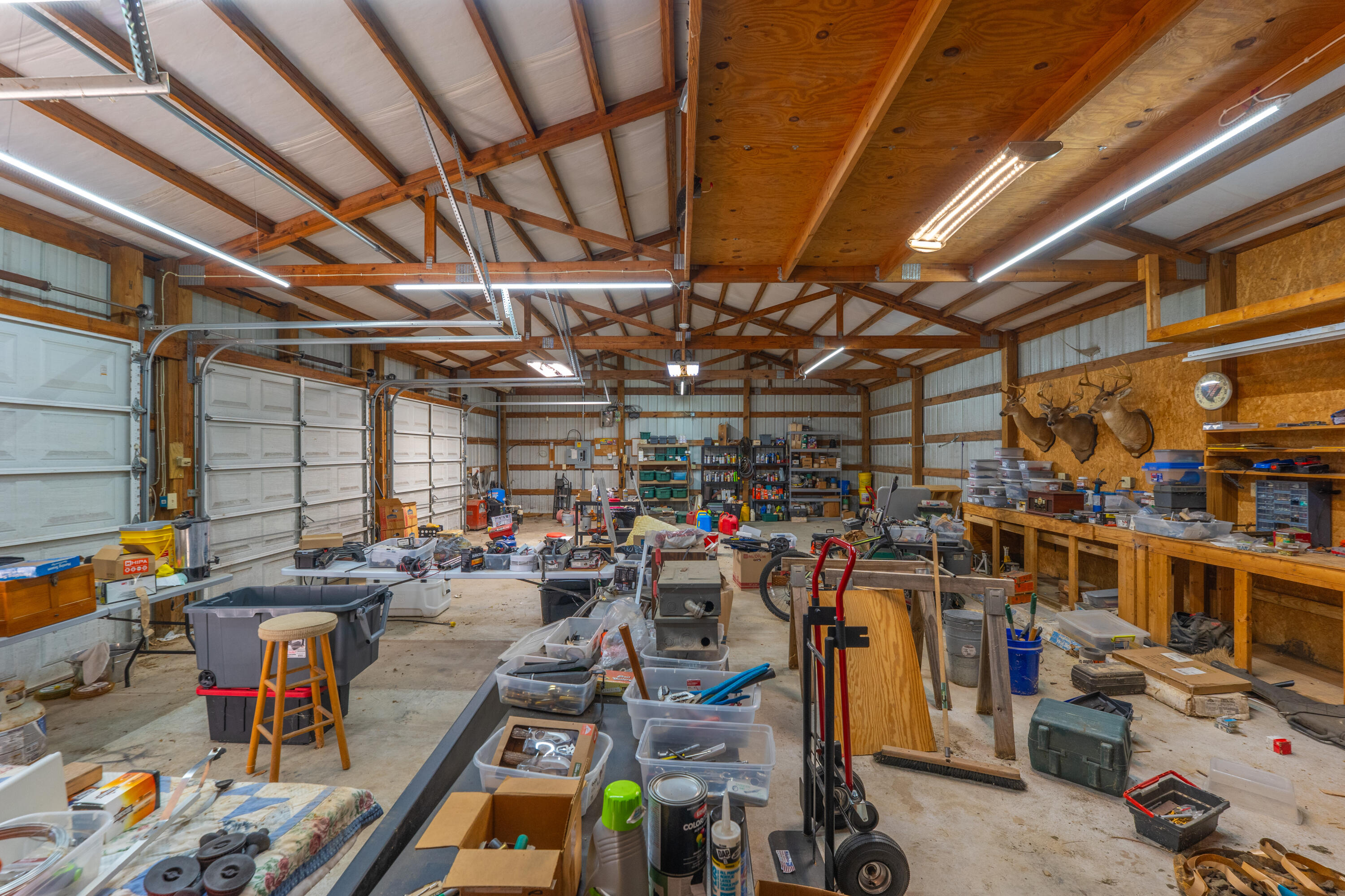 565 Tolle Farm Road Cottageville, SC 29435 - Photo 23 of 33 P1077548