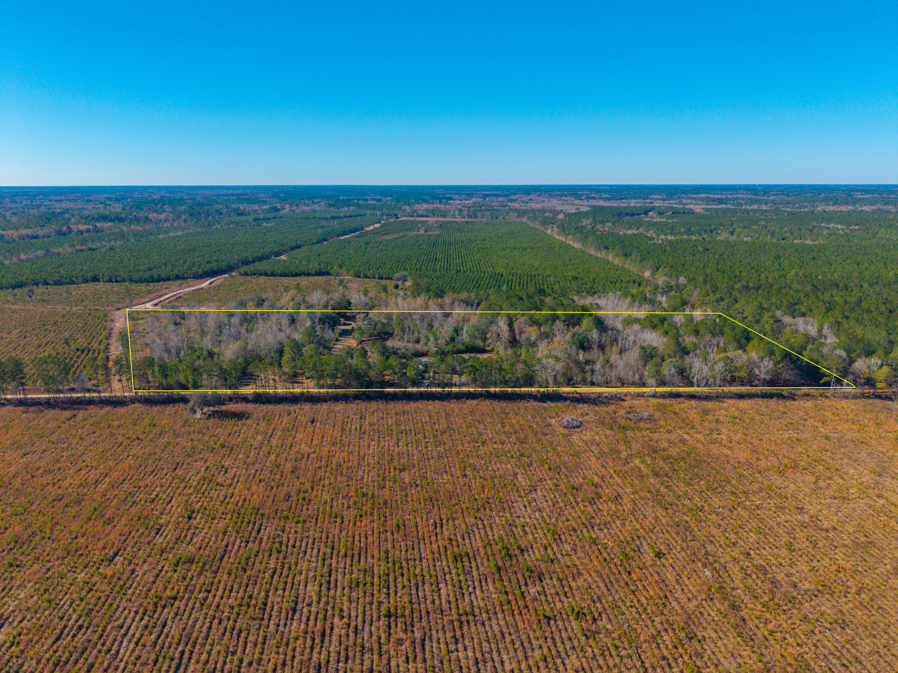 565 Tolle Farm Road Cottageville, SC 29435 - Photo 28 of 33 DJI_20251219110822_0059_D-Edit