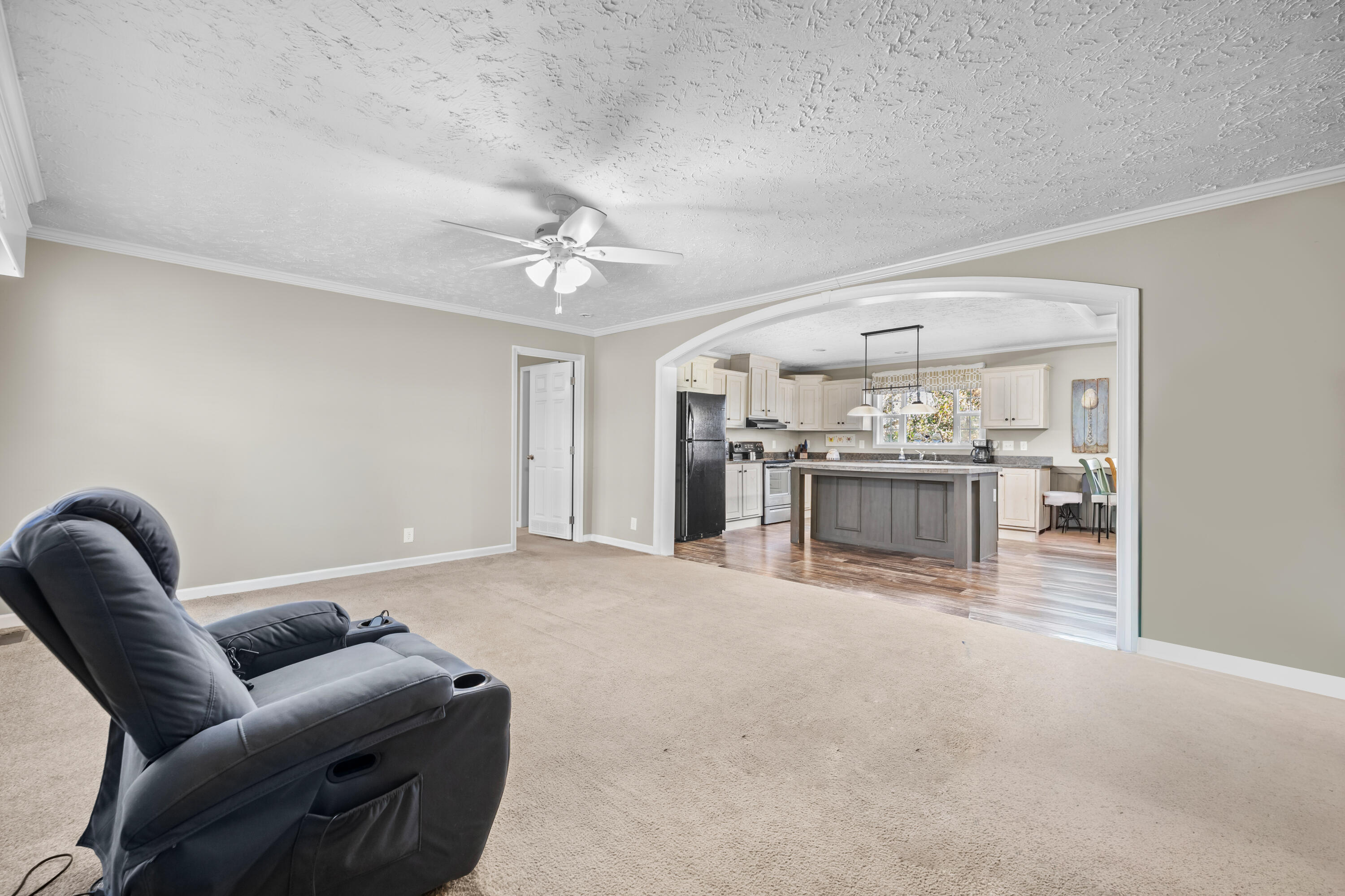 565 Tolle Farm Road Cottageville, SC 29435 - Photo 6 of 33 P1077453-Edit-Edit