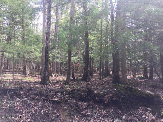 0 Baxter Lake Road Lawrenceville, PA 16929 - Photo 2 of 3 IMG_4428