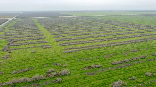 $8,640,500 | 0 Ave 32 & Road 192, Earlimart, CA 93219