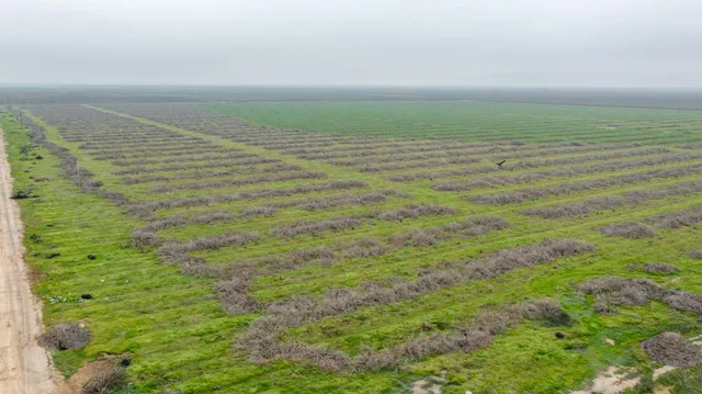 $8,640,500 | 0 Ave 32 & Road 192, Earlimart, CA 93219