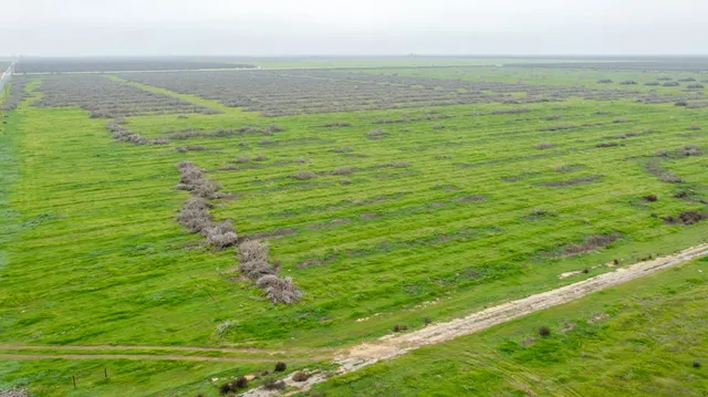 $8,640,500 | 0 Ave 32 & Road 192, Earlimart, CA 93219