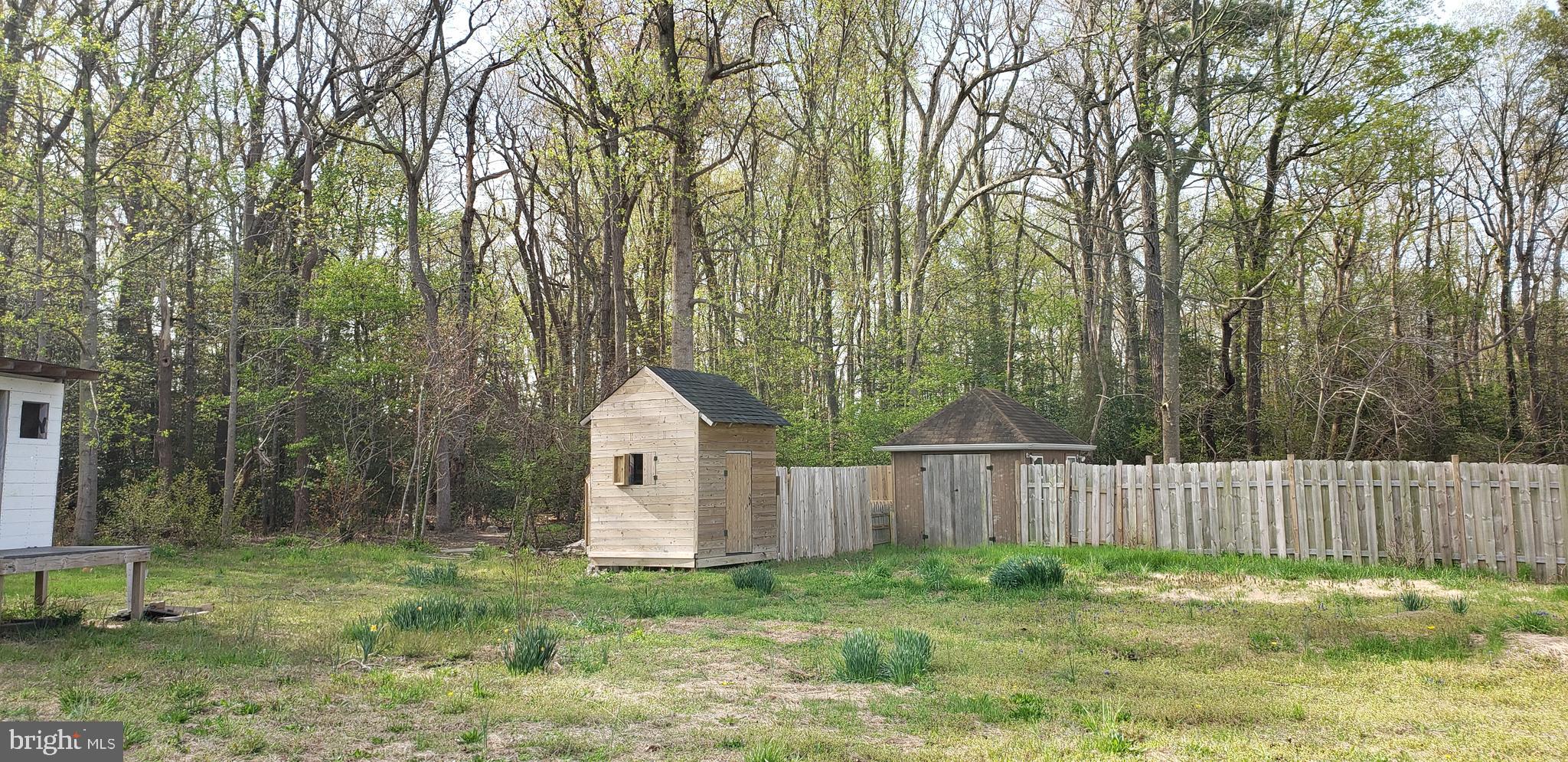 26644 Zion Church Road Milton, DE 19968 - Photo 20 of 20 Gallery Image 20