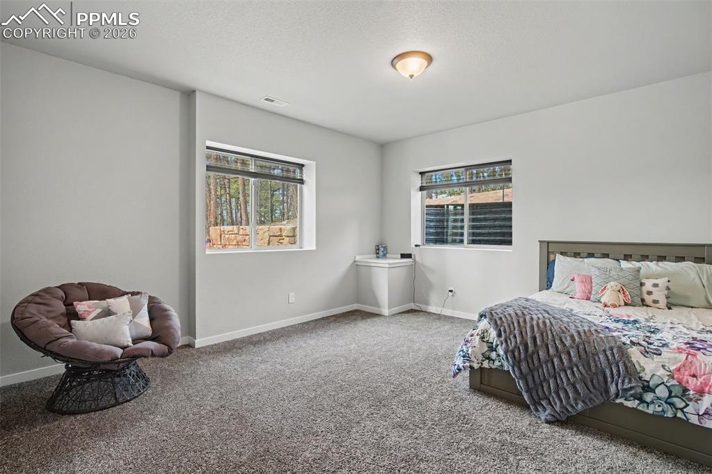 16474 Morning Rise Lane Monument, CO 80132 - Photo 37 of 49 a bedroom with a bed and a window