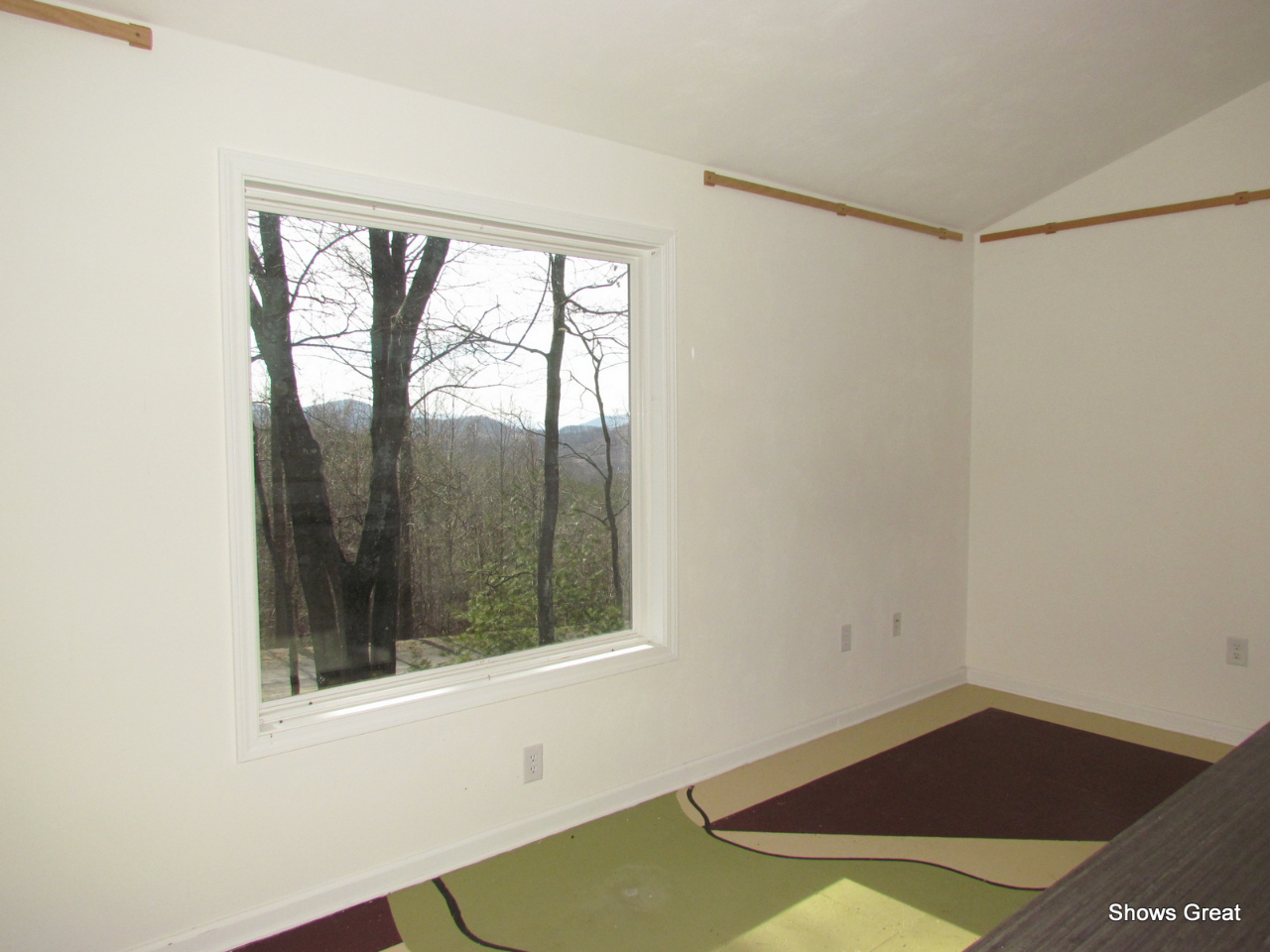 6485 Sandy Ford Road Blue Ridge, VA 24064 - Photo 14 of 44 IMG_3750