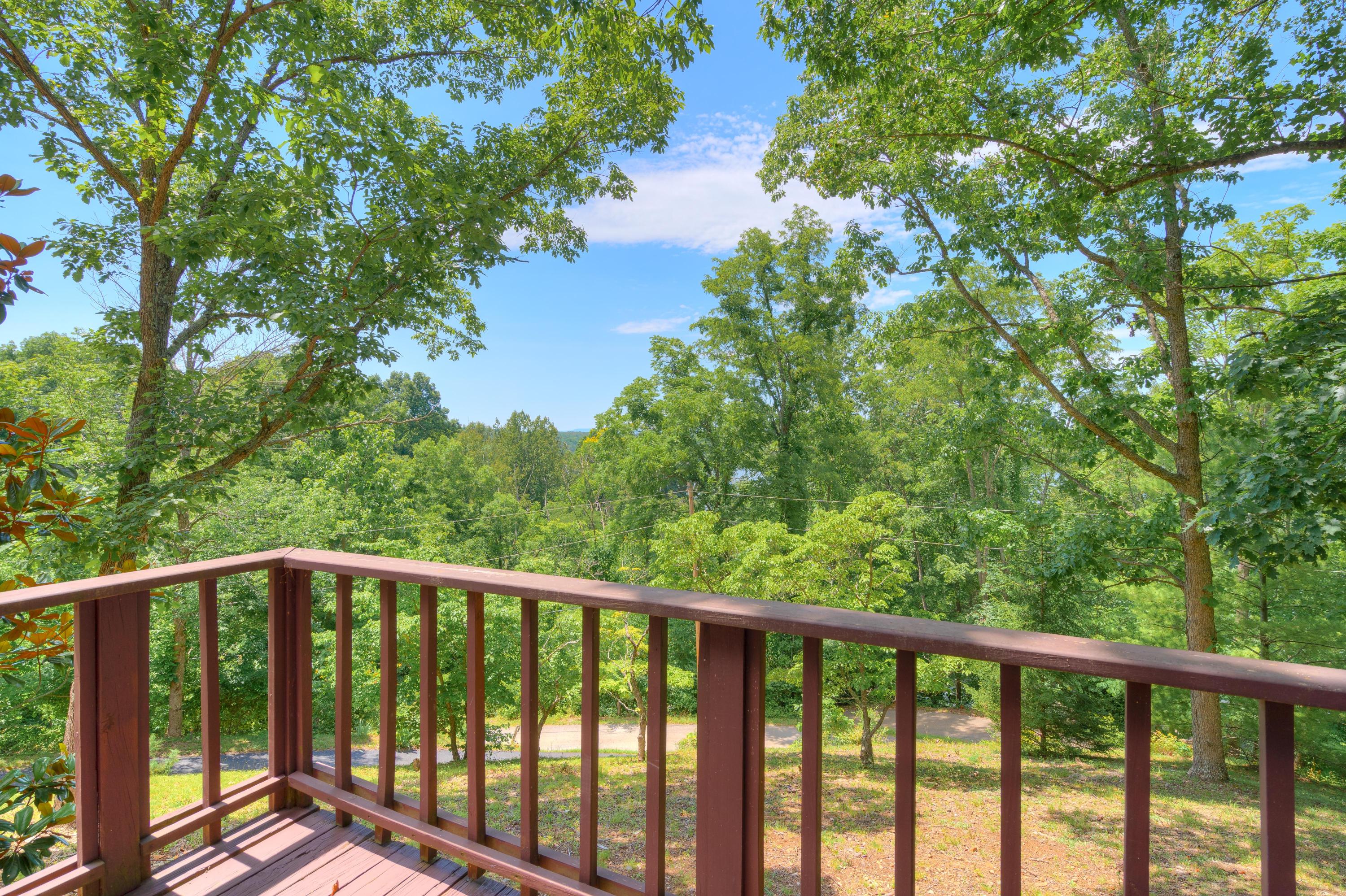 4366 Plantation Estates Road Radford, VA 24141 - Photo 8 of 41 4366_PlantationEstatesRd_HiRes-10