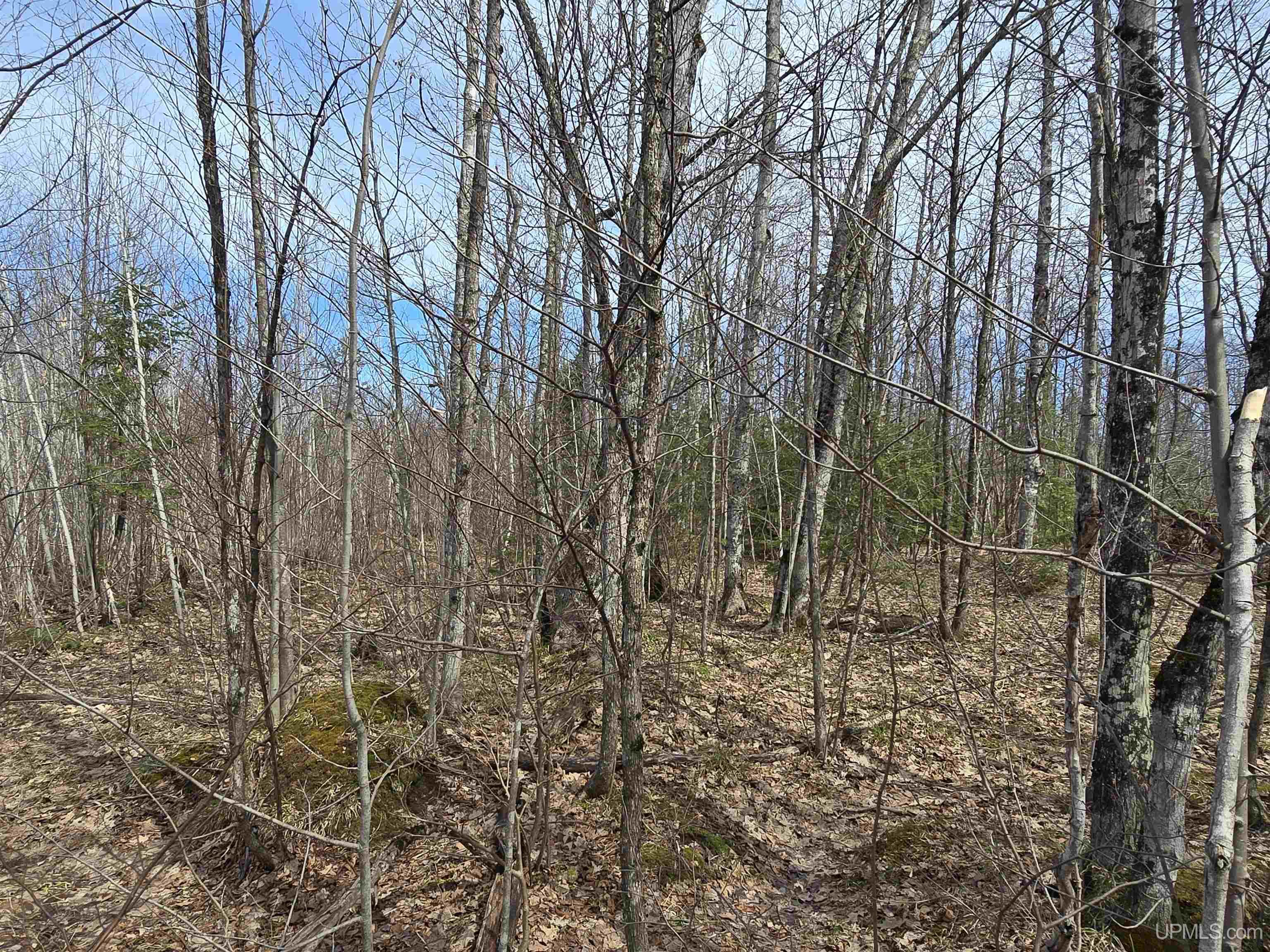 Tbd Woodspur Road Ontonagon, MI 49953 - Photo 44 of 46