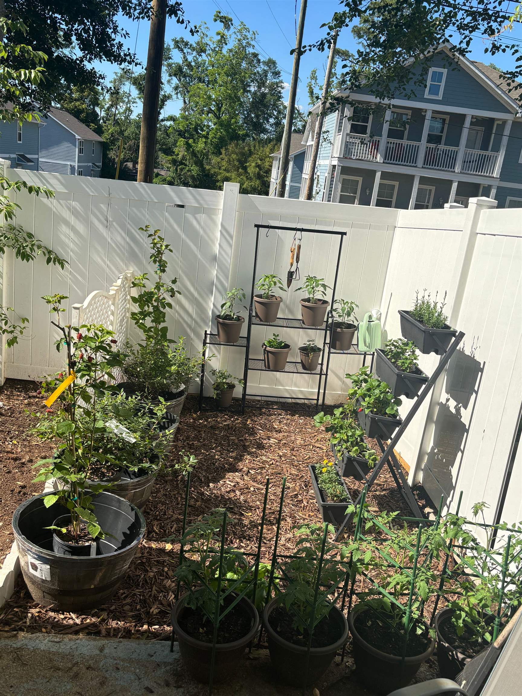 301 South Lipona Road, Unit 22 Tallahassee, FL 32304 - Photo 11 of 22