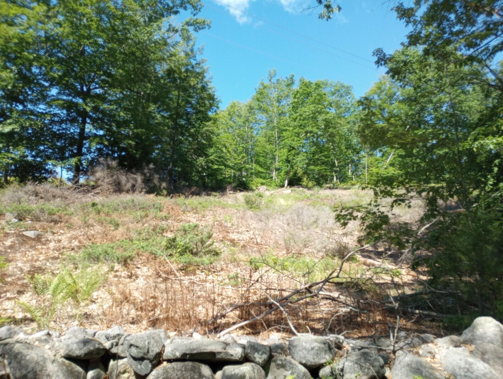 Tbd Tbd North Road Limington, ME 04049 - Photo 3 of 13 4