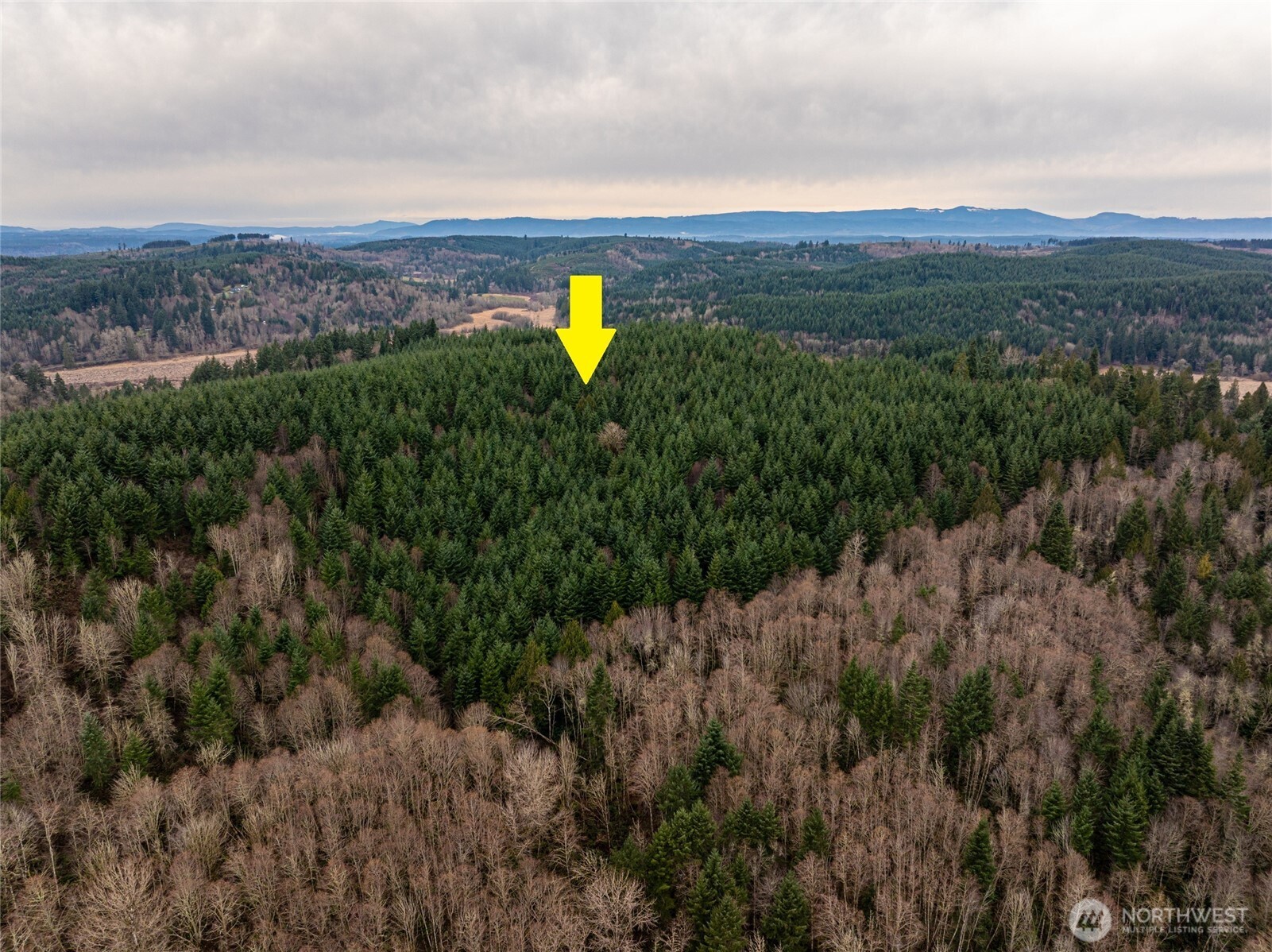 a view of a city and green space
