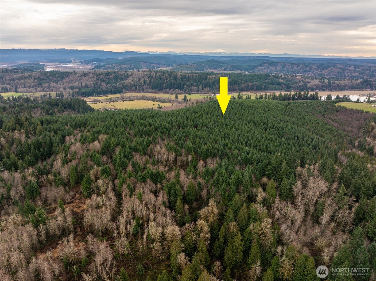216-xx Zenkner Valley Road Southwest Centralia, WA 98531 - Photo 3 of 12 a view of a lake and a mountain