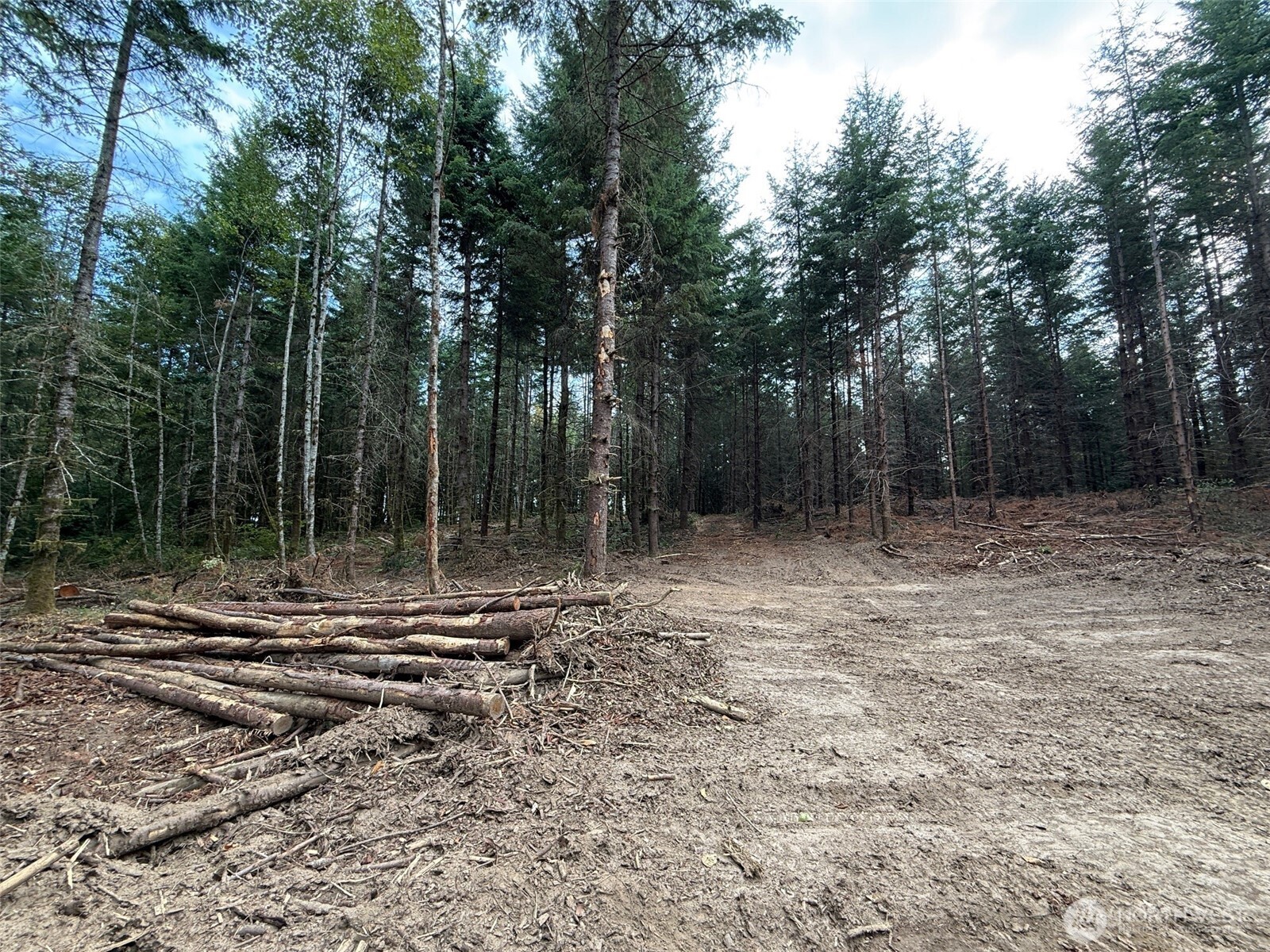 216-xx Zenkner Valley Road Southwest Centralia, WA 98531 - Photo 7 of 12 a backyard of a house with lots of green space