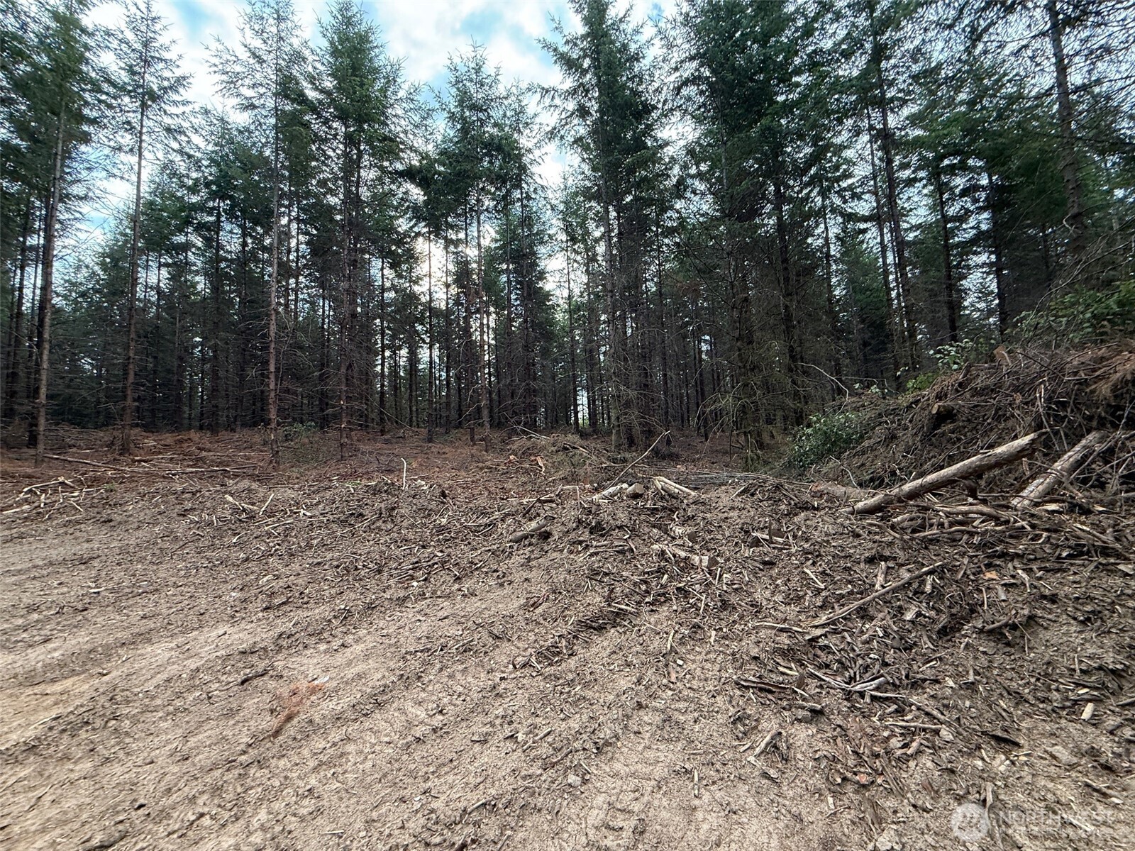 216-xx Zenkner Valley Road Southwest Centralia, WA 98531 - Photo 9 of 12 a view of outdoor space with trees