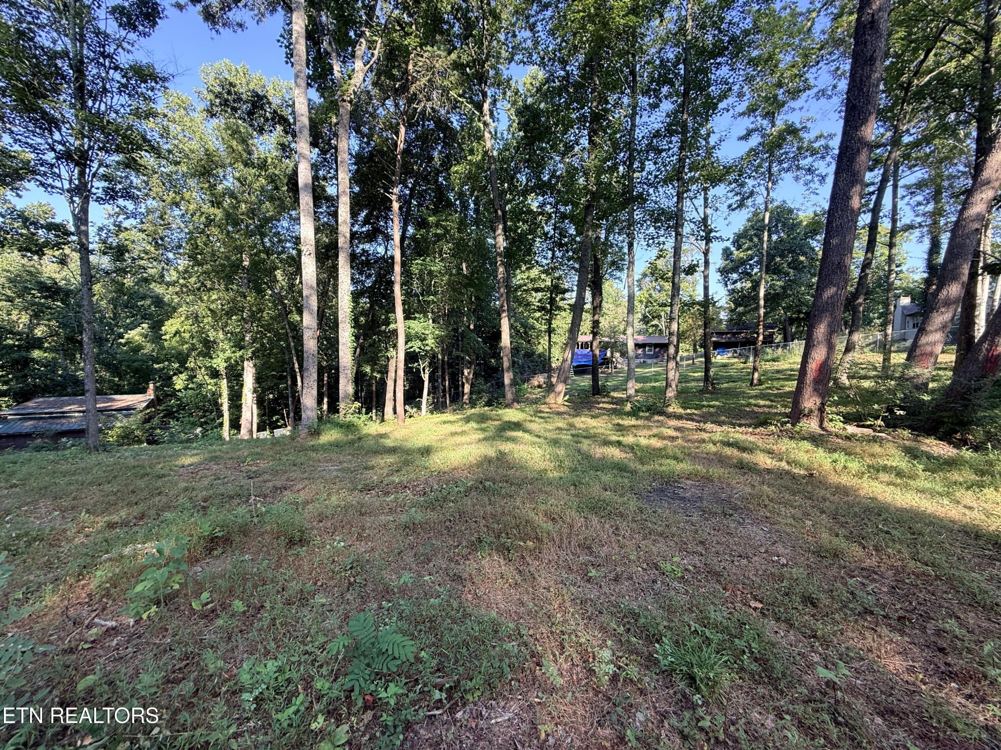1465 Hickory Star Road Maynardville, TN 37807 - Photo 2 of 8 Gallery Image 2