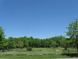 2788 West Dean Road Temperance, MI 48182 - Photo 9 of 19 VIEW FROM ROAD