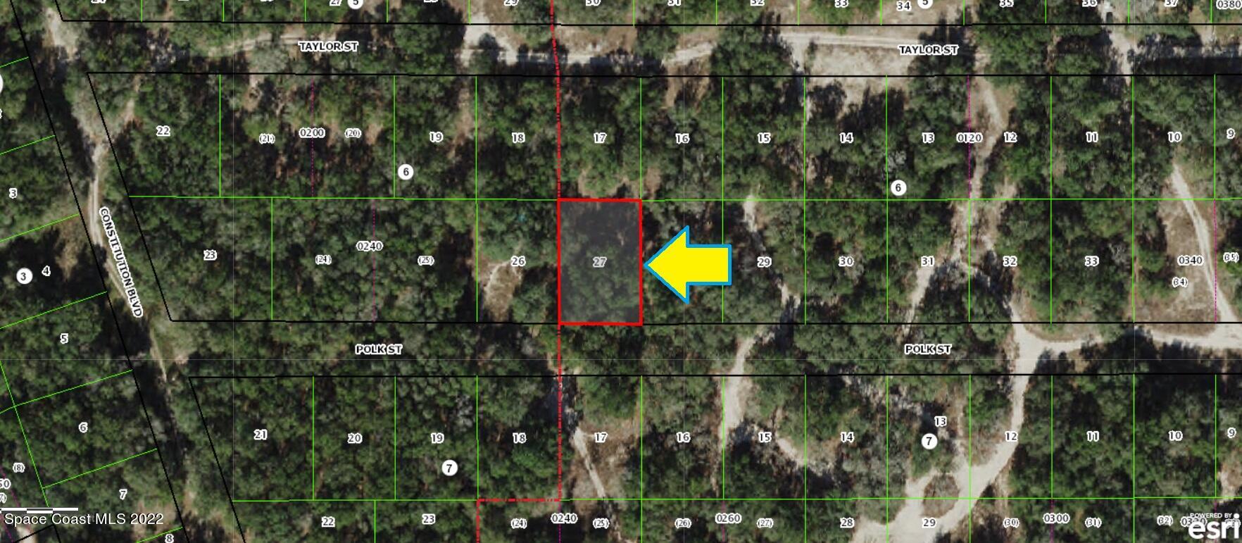 3008 Polk Street West Inverness, FL 34453 - Photo 2 of 5 3008PolkGis