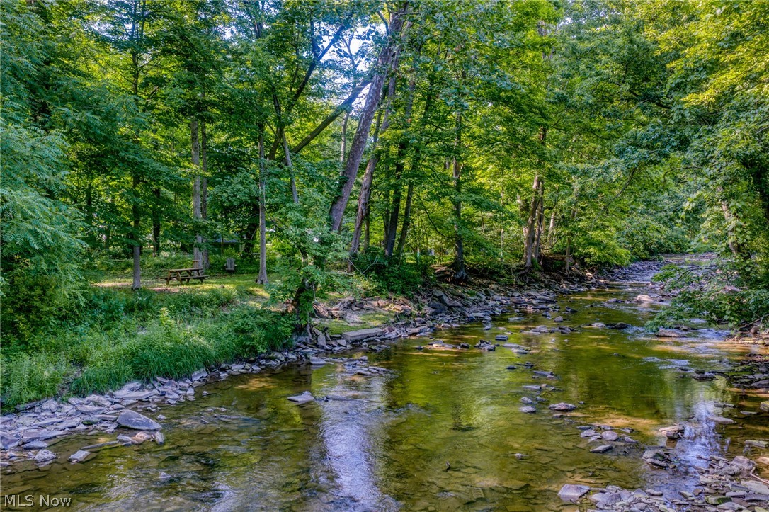 215 Miles Road Chagrin Falls, OH 44022 - Photo 2 of 33 Picnic table in the clearing at waters edge