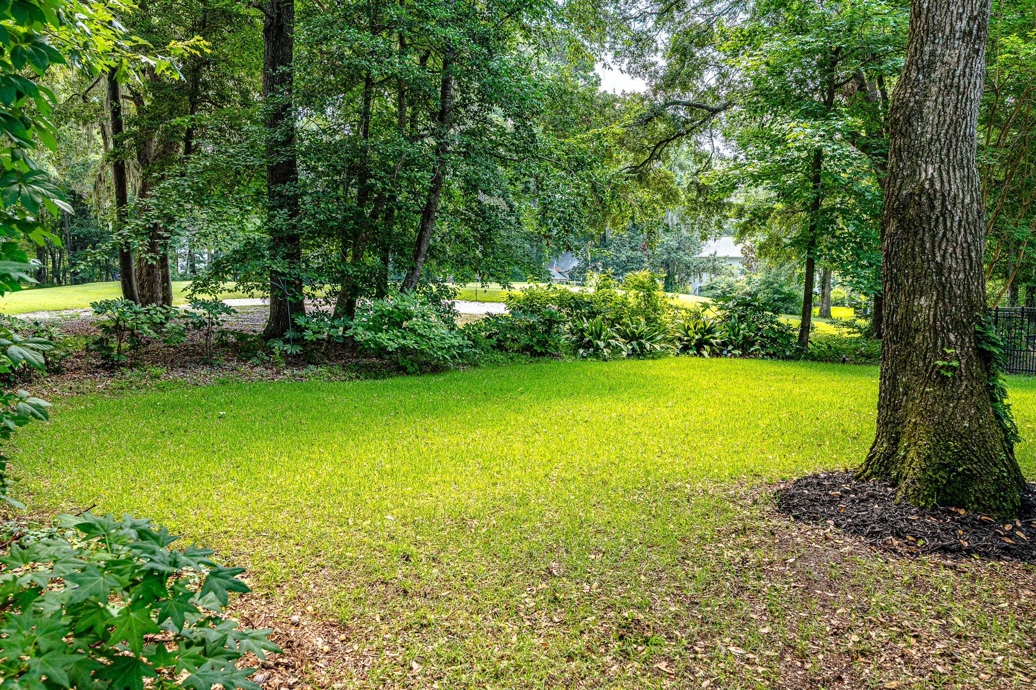 808 Long Drive Road Summerville, SC 29485 - Photo 40 of 44 Serene Backyard