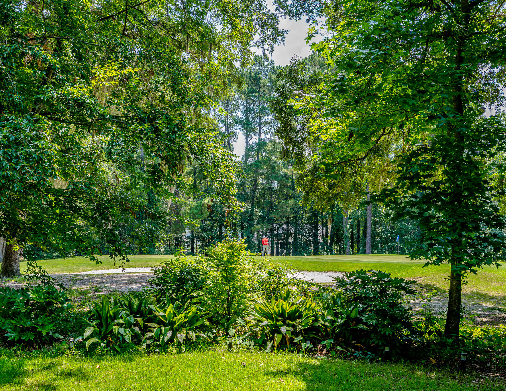 808 Long Drive Road Summerville, SC 29485 - Photo 4 of 44 808 Long Drive-9