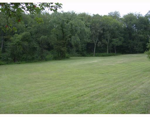 1365 Gringo Clinton Road Aliquippa, PA 15001 - Photo 7 of 17 Land/Lot. Privacy Plus!