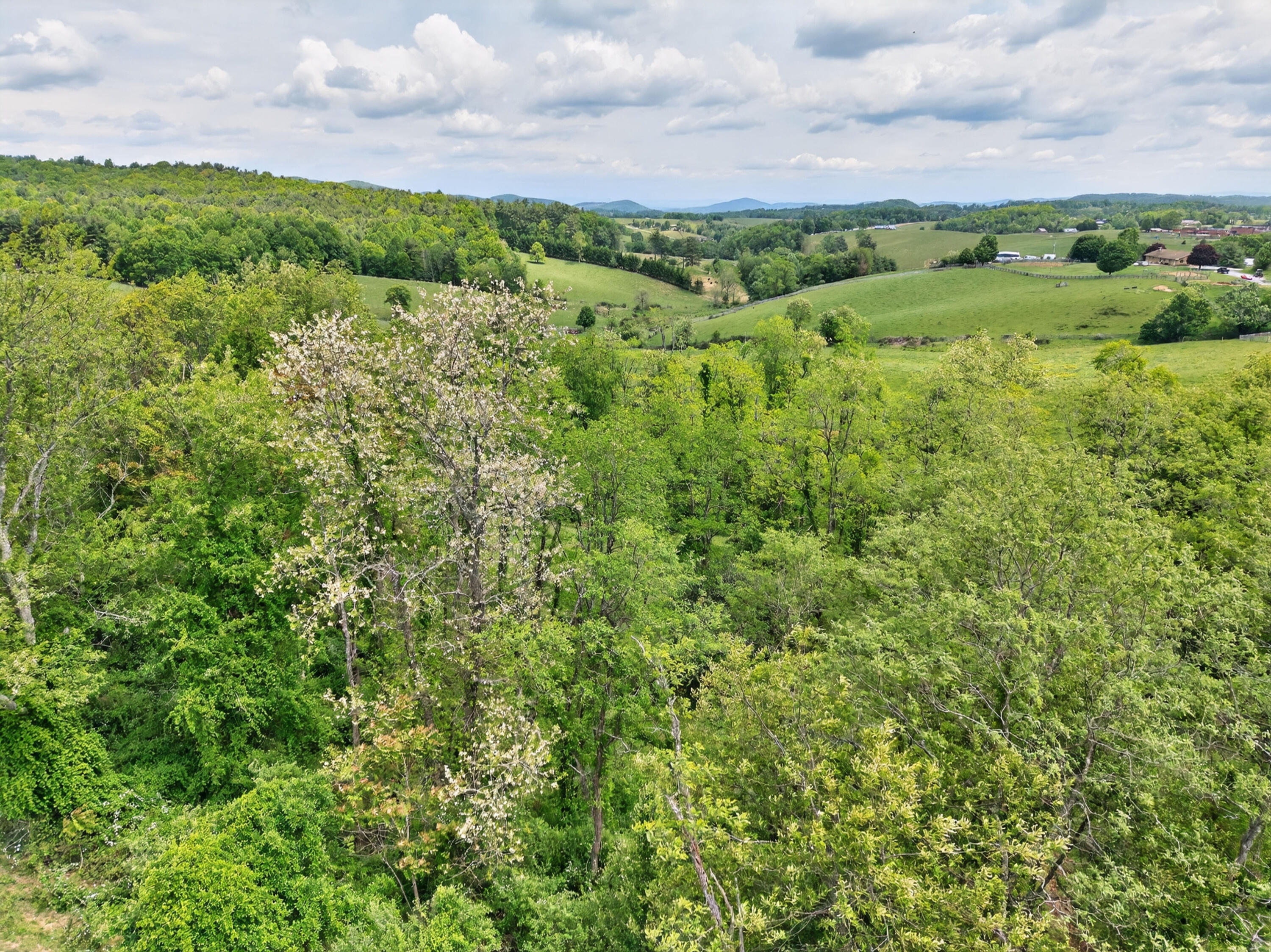 217 Indian Valley Road Willis, VA 24380 - Photo 95 of 120 willis-90