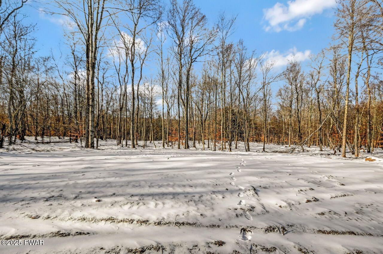 2139 Svecz Road Union Dale, PA 18470 - Photo 51 of 63