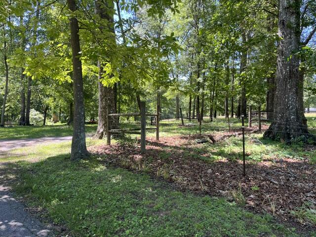 362 Cullen Savage Road Palmer, TN 37365 - Photo 22 of 76 IMG_7160