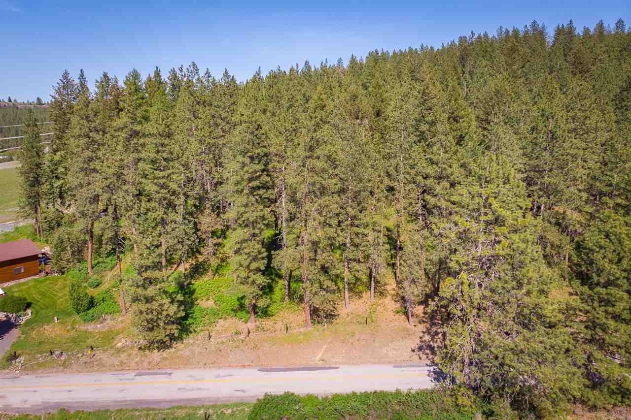9218 North Bruce Road Spokane, WA 99217 - Photo 1 of 9