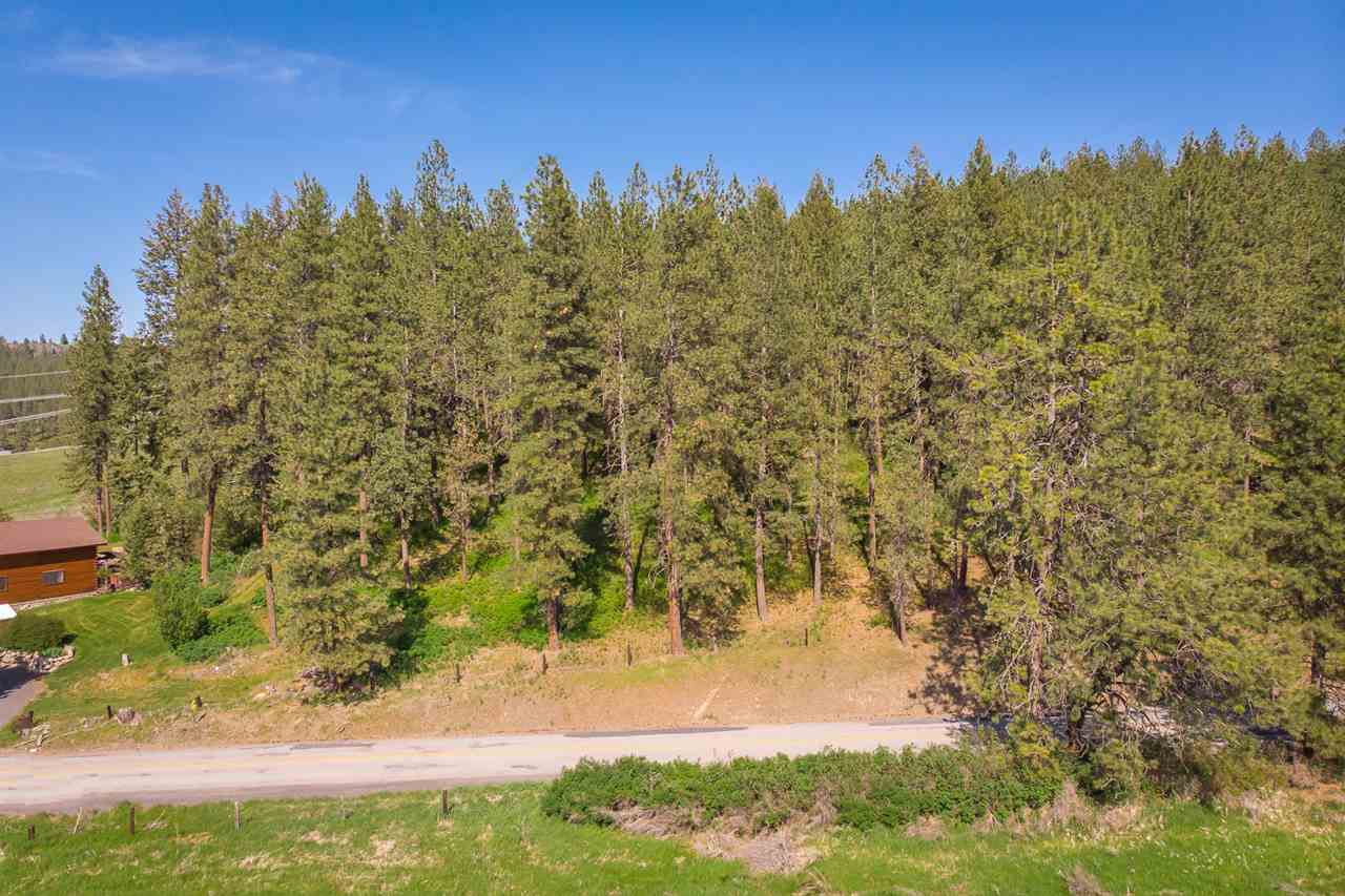 9218 North Bruce Road Spokane, WA 99217 - Photo 2 of 9