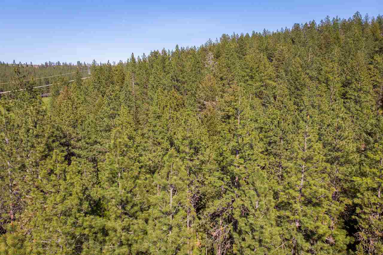 9218 North Bruce Road Spokane, WA 99217 - Photo 4 of 9