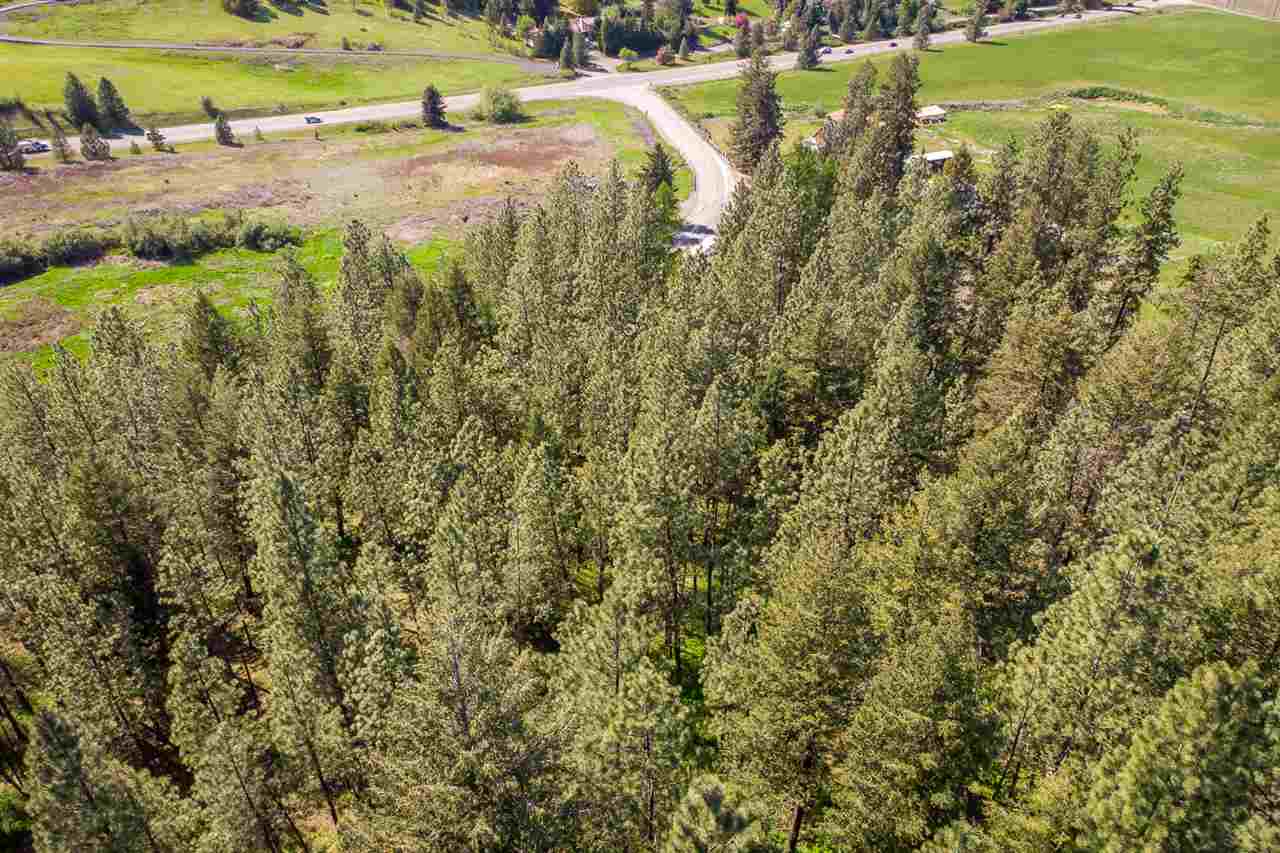 9218 North Bruce Road Spokane, WA 99217 - Photo 5 of 9