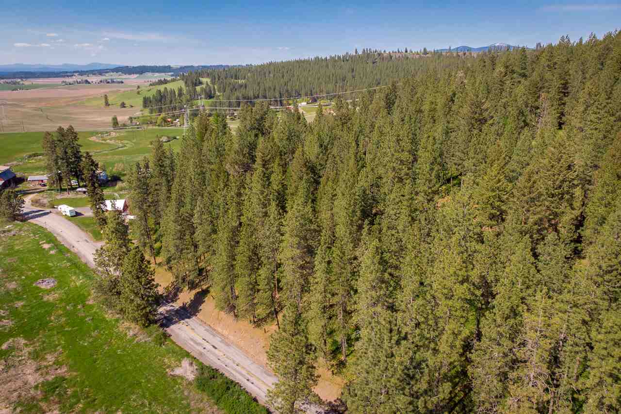 9218 North Bruce Road Spokane, WA 99217 - Photo 8 of 9