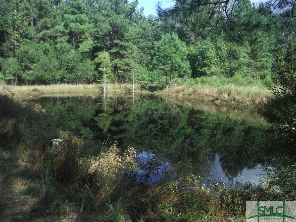 401 George Road Brooklet, GA 30415 - Photo 8 of 34